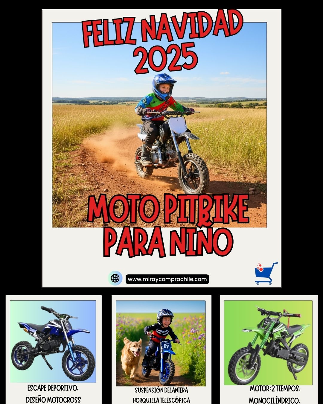 PITBIKE 49cc para Niños | Moto Infantil Todo Terreno